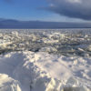 Day2-2：オホーツク流氷館へ、流氷観光砕氷船 おーろらでオホーツク海クルーズ